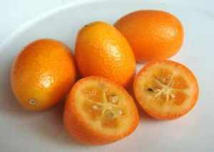 kumquat fresco