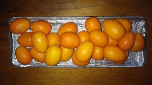 Kumquats en Frutas Colomina